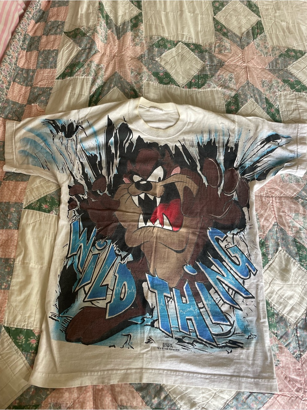Looney Tunes Taz 'Wild Thing' Graphic 1996 men’s t shirt RARE